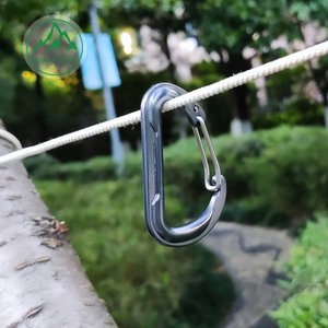 Kaltgepresstes D-förmiger Metalldrahtschnalle, speziell geformter Camping-Zelthaken, Aluminiumlegierungs-Rucksackhaken, Carabiner