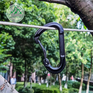 D-förmige gebogene Stangendrahtschnalle im Freien Aluminium Carabiner Travel Rucksack Schnalle Spezialform