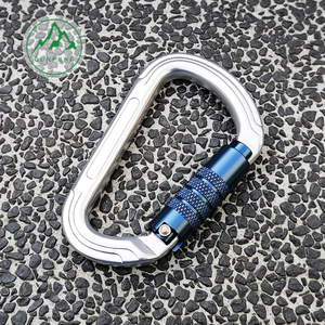 D-Hook Outdoor Climbing Master Lock Carabiner Yoga Hängematte Carabiner Verbindungsring